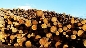 Kotly na drevo a jeho výhody a nevýhody